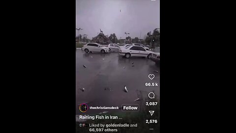 it's raining fish