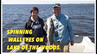 Walleyes on Lake of the Woods