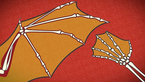 HowStuffWorks Animations: How Bats Fly