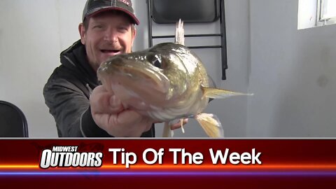Tip of The Week: Locate Fish With This Underwater Camera