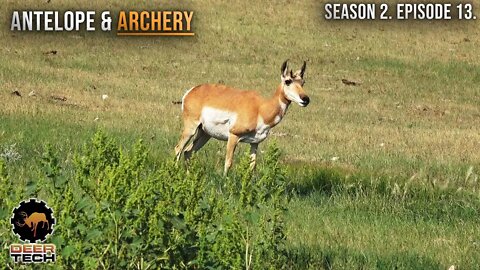 Antelope & Archery | DeerTech TV