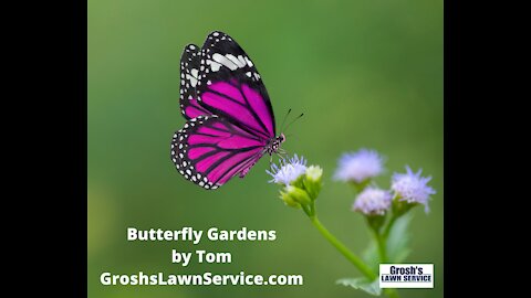 Butterfly Garden Martinsburg WV Landscaping Contractor