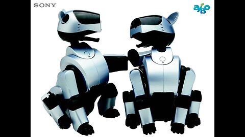 Aibo Forever (Aibo ERS-210)