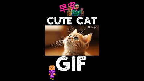 Cute Cat Gif