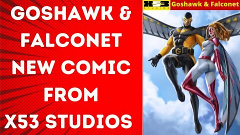 Talking with X53 Studios about the latest project Goshawk & Falconet