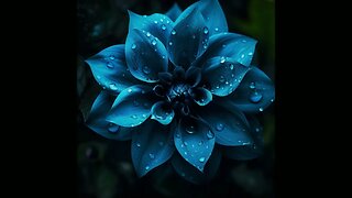 Blue flower