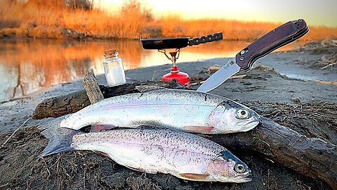 RAINBOW TROUT Fishing CLEAR REMOTE Creek!!! (Catch & Cook)