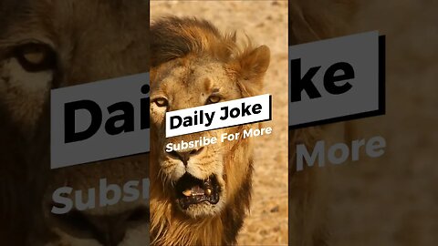 Fun Daily Joke 😁🤣🤣😁 #LionJokes #IceCreamHumor #AnimalPuns #CleverWordplay #PlayfulJokes