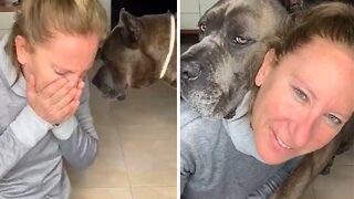 Sweet Doggy Apologizes After Accidentally Scratching Owner