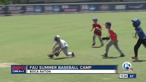 FAU Summer Baseball Camp