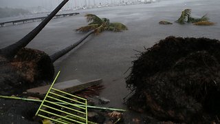 Democrats Renew Call For Probe Into Puerto Rico Hurricane Response
