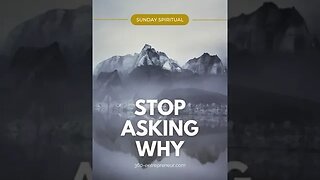 STOP ASKING WHY