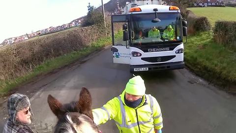 Friendly waste collector offers carrot to frightened horse