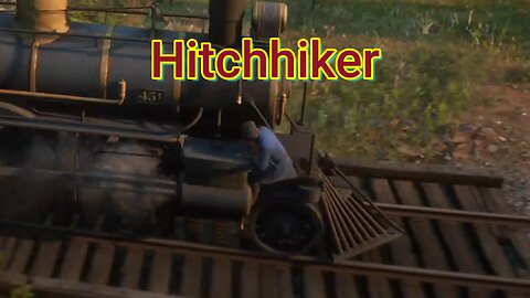 Red Dead Redemption 2 Hitchhiker #reddeadredemption2 #RDR2