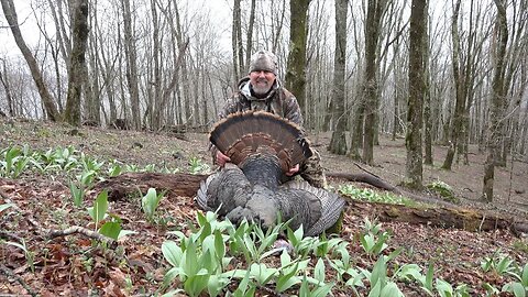 Mountain Turkey Hunting, Harvest On Opening Day! (2 Gobblers Come Charging In!)