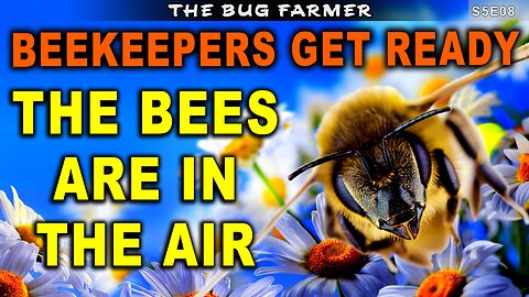 Preparing the Beehives for splits. | Spring beekeeping.