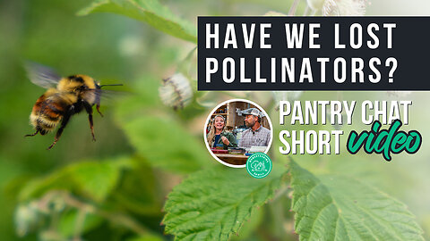 Have We Lost Pollinators? | Pantry Chat Podcast Short