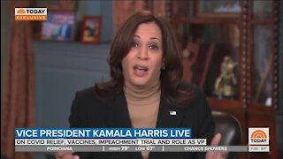 Harris Starts Stammering When Asked About Biden's Shifting Standards