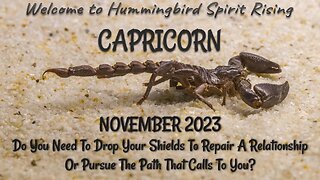 CAPRICORN Nov 2023 - Do You Need To Drop Your Shields To Repair A Relationship Or Pursue A Calling?