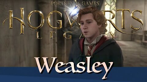 Garreth Weasley | 29 | Hogwarts Legacy | Let's Play