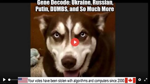 Gene Decode: Ukraine, Russian, Putin, DUMBS, and So Much More