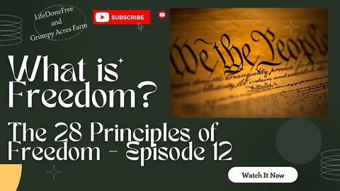 What is Freedom? 28 Principles of Freedom - Episode 12