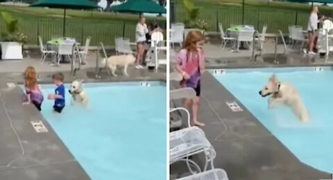 Happy pup is absolutely ecstatic for first pool party