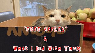 "FREE APPLES" & What I Did With Them!