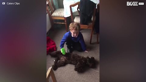 Barn med autisme finder venskab hos en hund