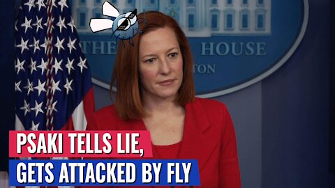 JEN PASKI TELLS BIGGEST BS LIE IN White House HISTORY - THEN FLIES LAND ON HER HEAD
