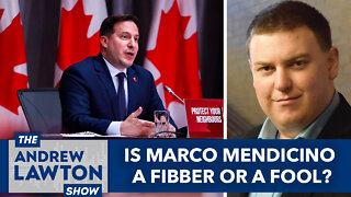 Is Marco Mendicino a fibber or a fool?