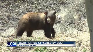Hunter attacked by bear he thought he killed