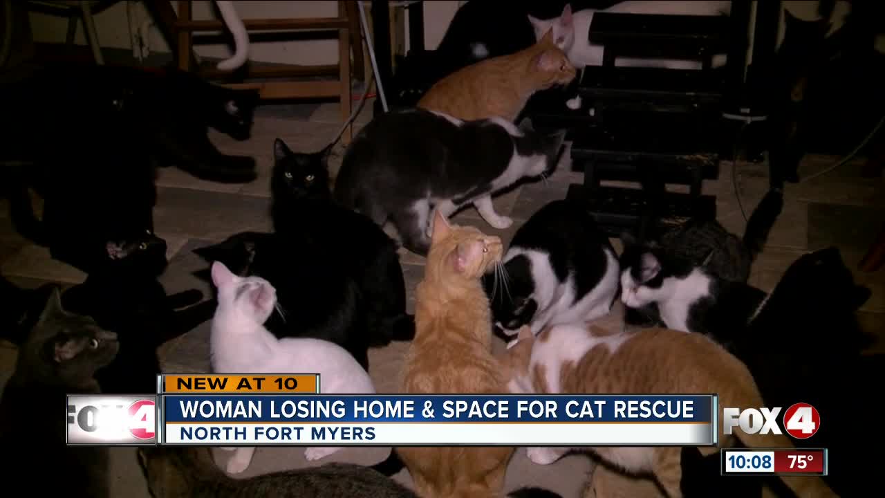 Woman losing home and needs space for rescue cats