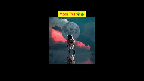 हम आज Moon Tree के नाम से