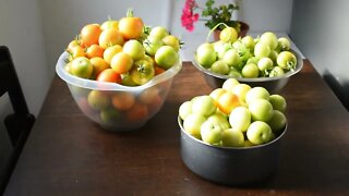 Picking My End of Season Tomatoes Harvest Autumn | Granny's Kitchen Recipes
