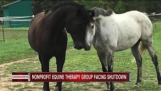 Nonprofit equine therapy group facing shutdown