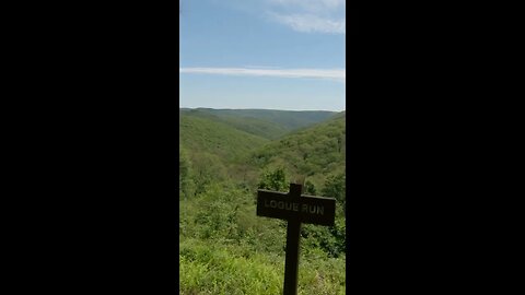 Pennsylvania Wilds Vista - Logue Run - Land of the Endless Mountains