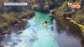 Kayak adventures at Weeki Wachee Springs|Morning Blend