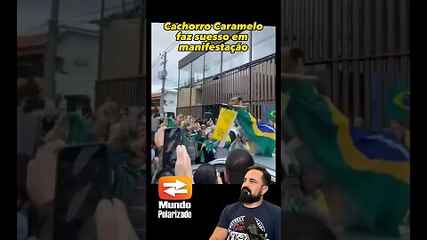 Cachorro Caramelo faz sucesso em Manifestação