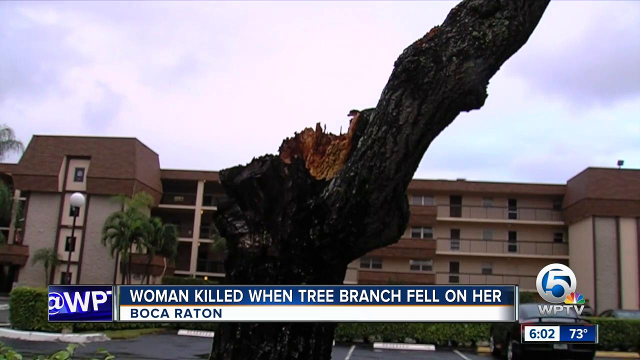 Woman killed by falling tree branch in Boca Raton