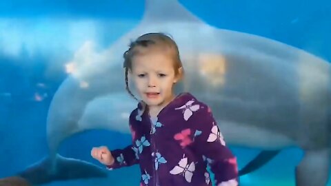Child is Scared by Cute Dolphin's Play