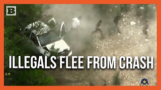 Human Smuggler Crashes Stolen Truck into Trees as Illegals Flee the Scene