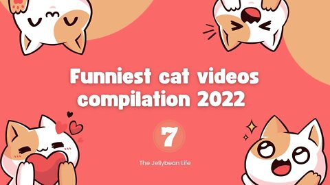 Funniest Cat Videos Compilation 2022😺 | Cats Can Make you Laugh within Minutes😹| Part 7