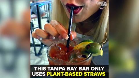 NO PLASTIC: Madeira Beach bar using straws made from plants | Taste and See Tampa Bay
