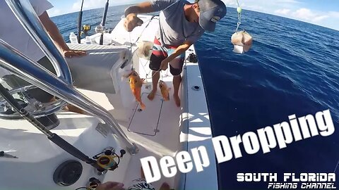 Deep Dropping after Hurricane Irma | Fishing