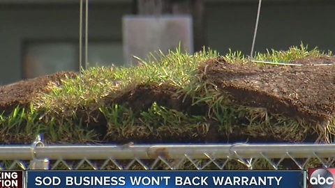 Sod business won't back warranty