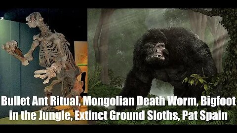Pat Spain, Bullet Ant Ritual, Mongolian Death Worm, Bigfoot in the Jungle, Extinct Ground Sloths