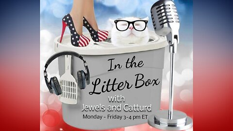 IT'S A BLOWOUT! | In the Litter Box w/ Jewels & Catturd - Ep. 524 - 3/6/2024