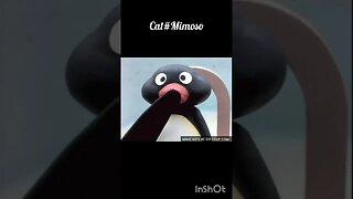 Pingu