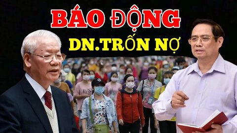 Báo Động : Các DN thi nhau TRỐN NỢ BHXH vì-CẠN TIỀN-Kinh tế suy thoái, thất nghiệp tràn lan